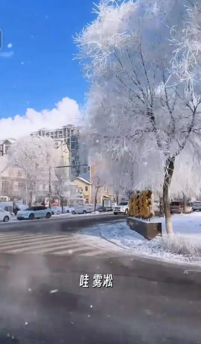 原創藍盈瑩吉林遊玩，零下24度戶外只待半個小時就被凍傷，臉又紅又腫