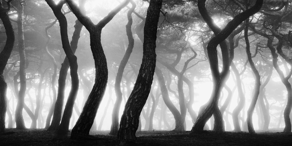 攝影收藏㊱｜金大洙：韓國設立“藝術銀行”推動收藏