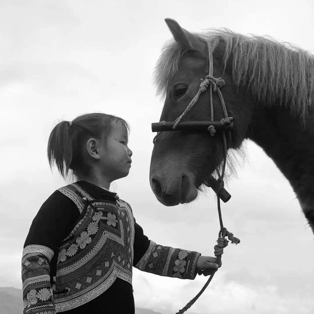 國際旅遊攝影網2026年國內外攝影路線全景指南