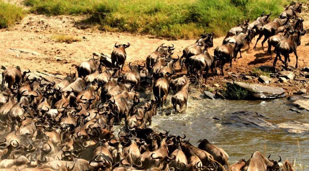 國際旅遊攝影網2026年國內外攝影路線全景指南