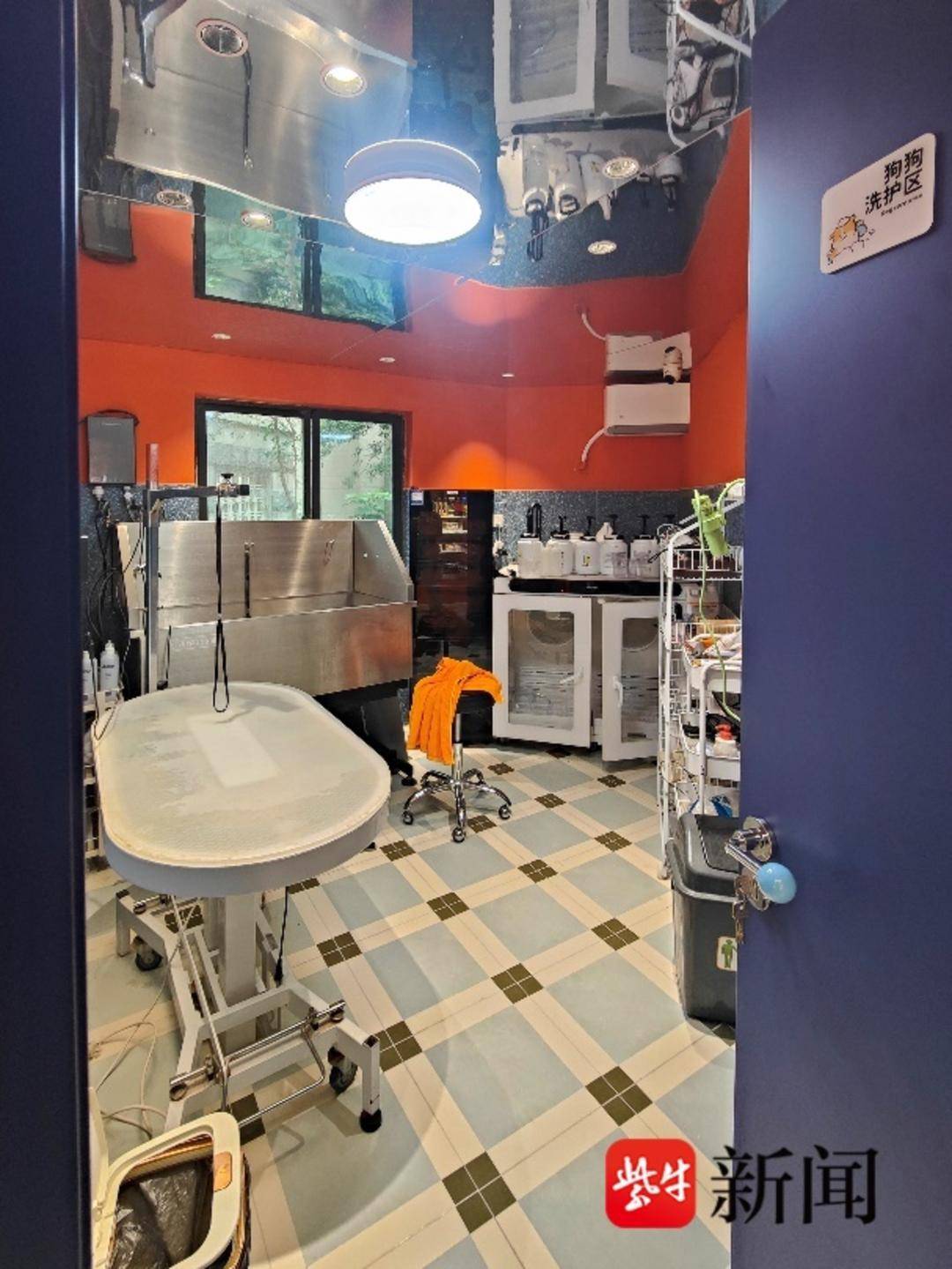 節前寵物美容需求量激增，美容師預約單已排至除夕夜