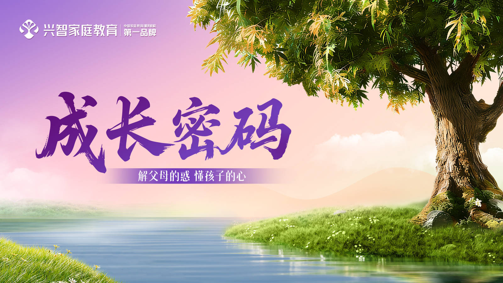 興智教育《成長密碼》是什麼？