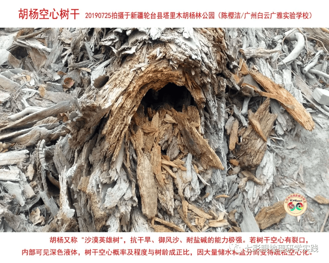 200個地理閱讀和命題的好素材