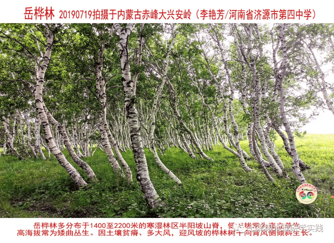 200個地理閱讀和命題的好素材