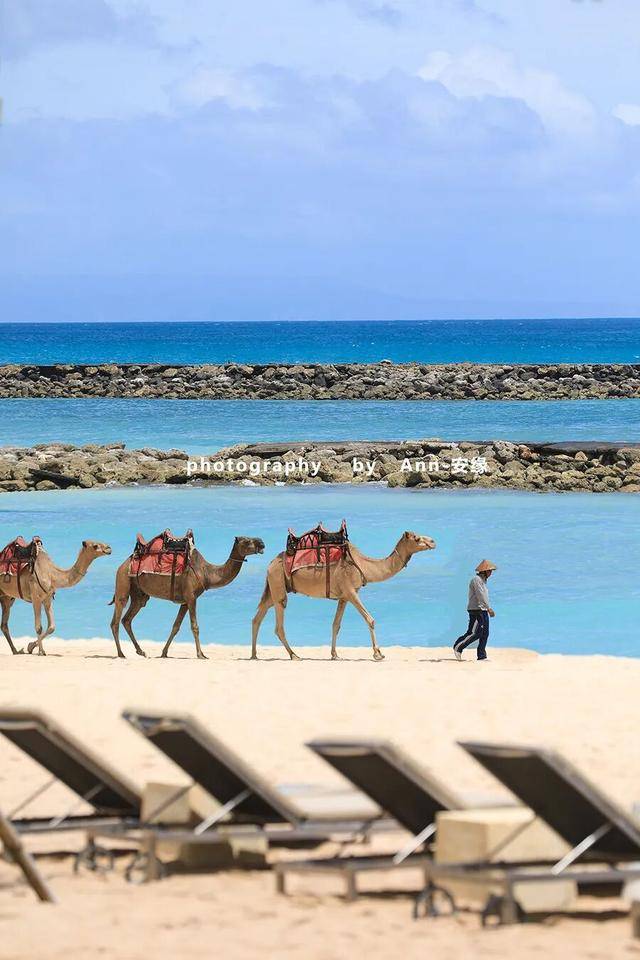 【巴厘島】：“獅王”出手，引爆“王炸美食酒店”！價效比極高！