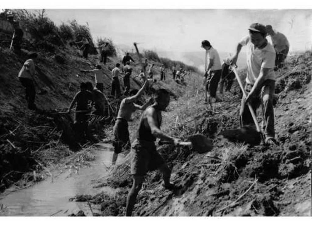 大學生寫家史︱一家一世界，一日一百年