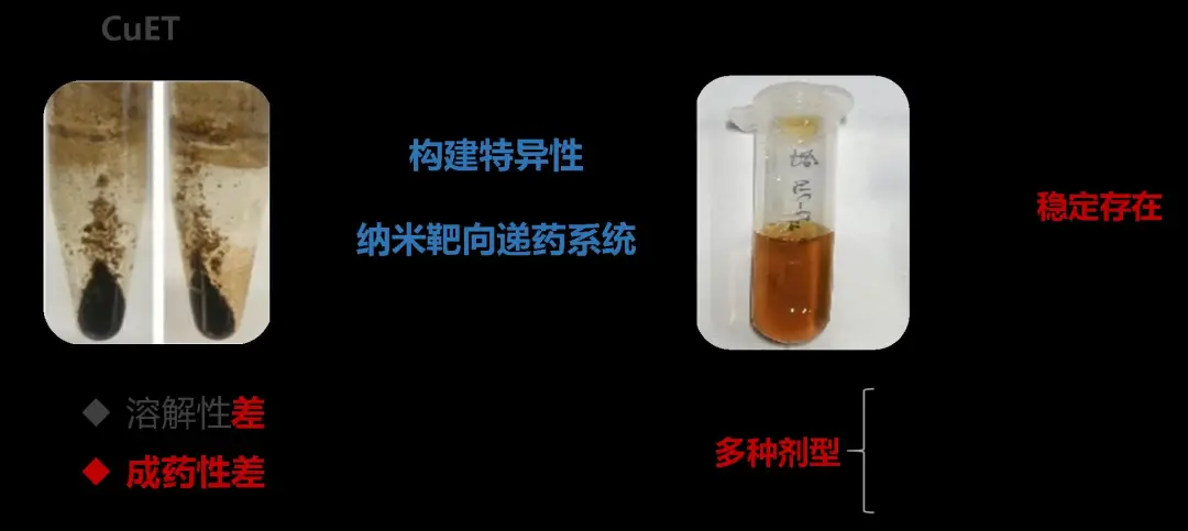 中南（貴陽）產業技術研究院有限公司科技成果釋出（第十三期）