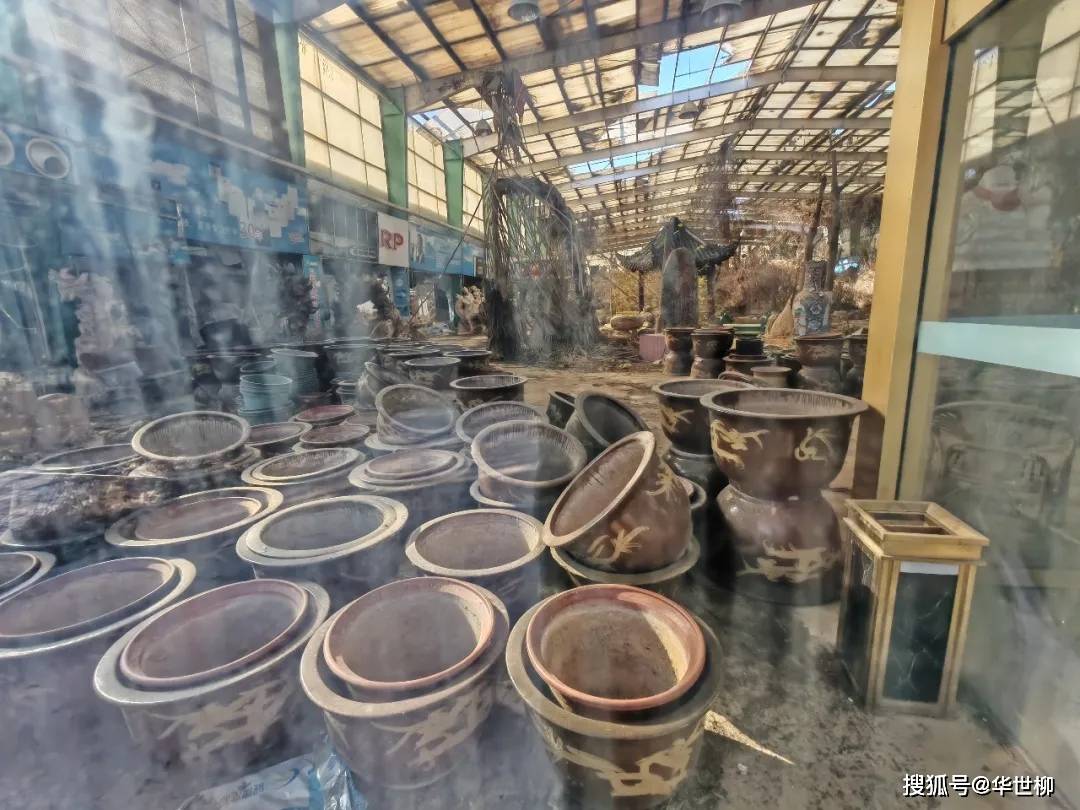 記錄德州：探秘德州曾經最火的旅遊勝地——大雁島，還有東山再起的機會嗎？