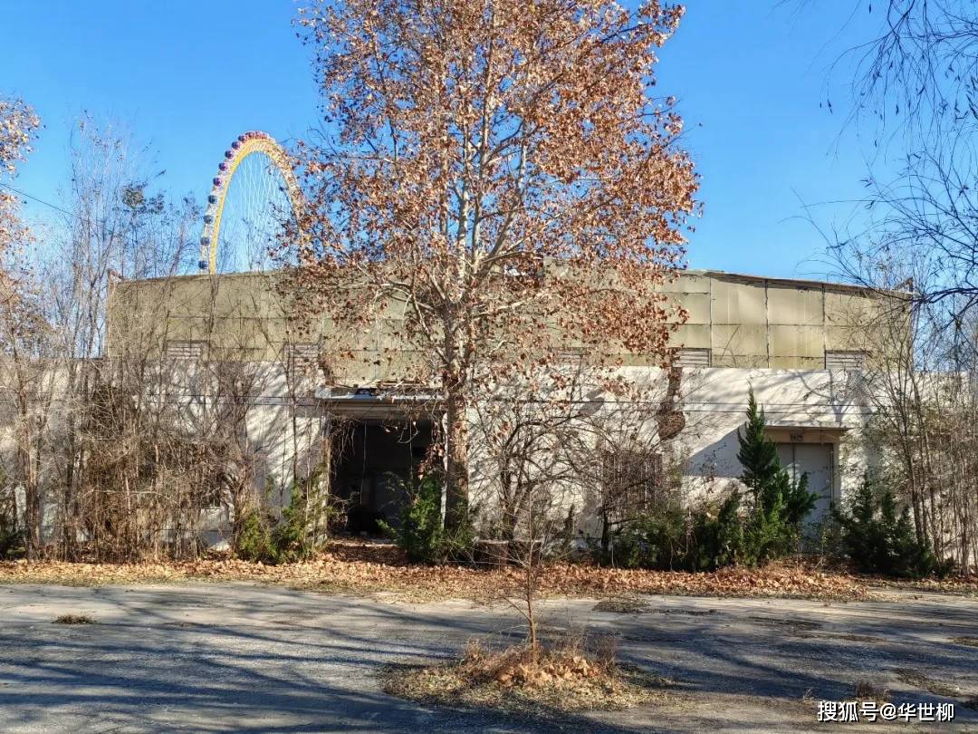 記錄德州：探秘德州曾經最火的旅遊勝地——大雁島，還有東山再起的機會嗎？