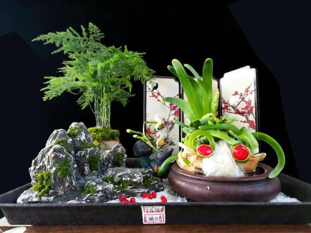 2026年新春水仙花展暨水仙雕刻藝術展亮相濟南公園