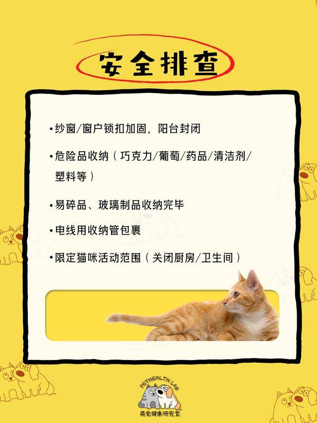 鏟屎官收藏！春節貓咪留守應急清單，對照準備