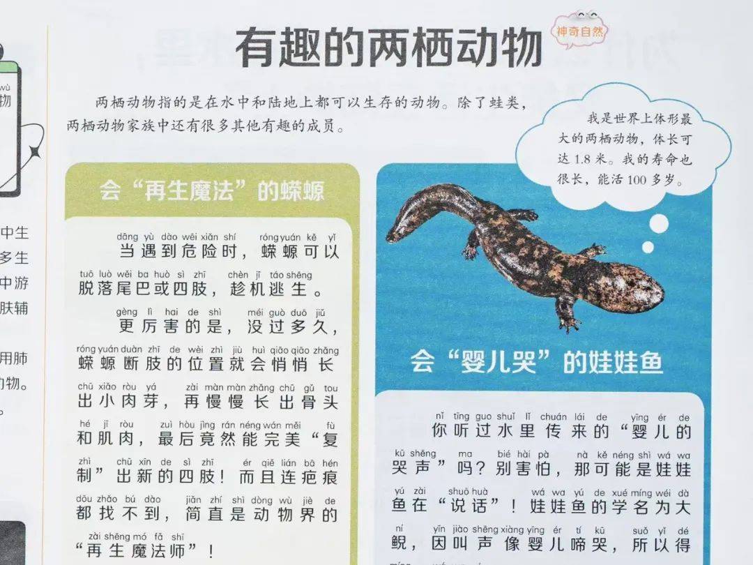 新的隱形攀比，正在小學悄悄流行！老師從來不說，但家長要知道