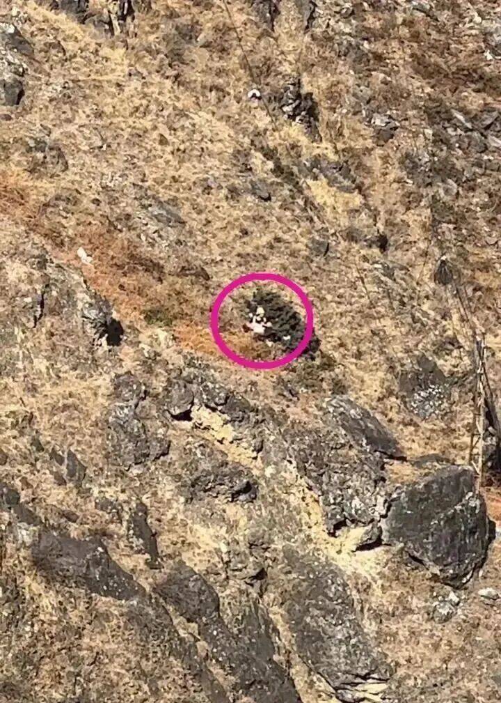 8歲男童大年初五墜崖不幸遇難！當地回應：和父母一起旅遊，事發地屬未開放區域