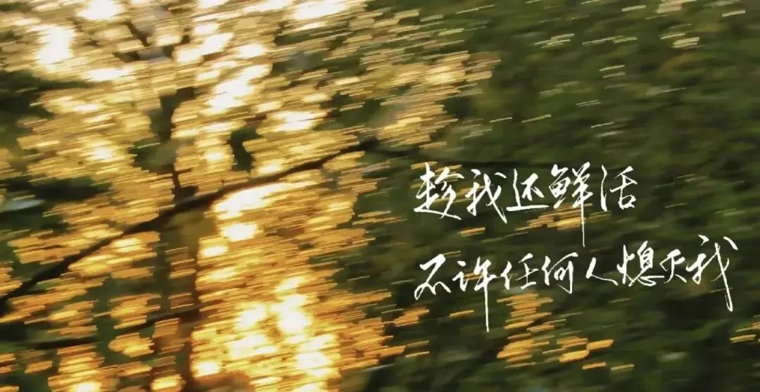 《人民日報》30個熱點人物素材（事蹟+適用主題+示範文段）