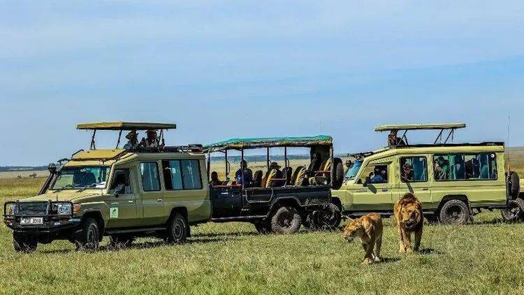 揭曉 | 2025年羅馬尼亞第9屆Onyx國際攝影大賽（旅遊組）獲獎公佈