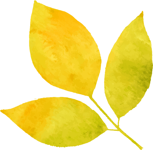 即墨區老年大學2026年春季學期招生簡章