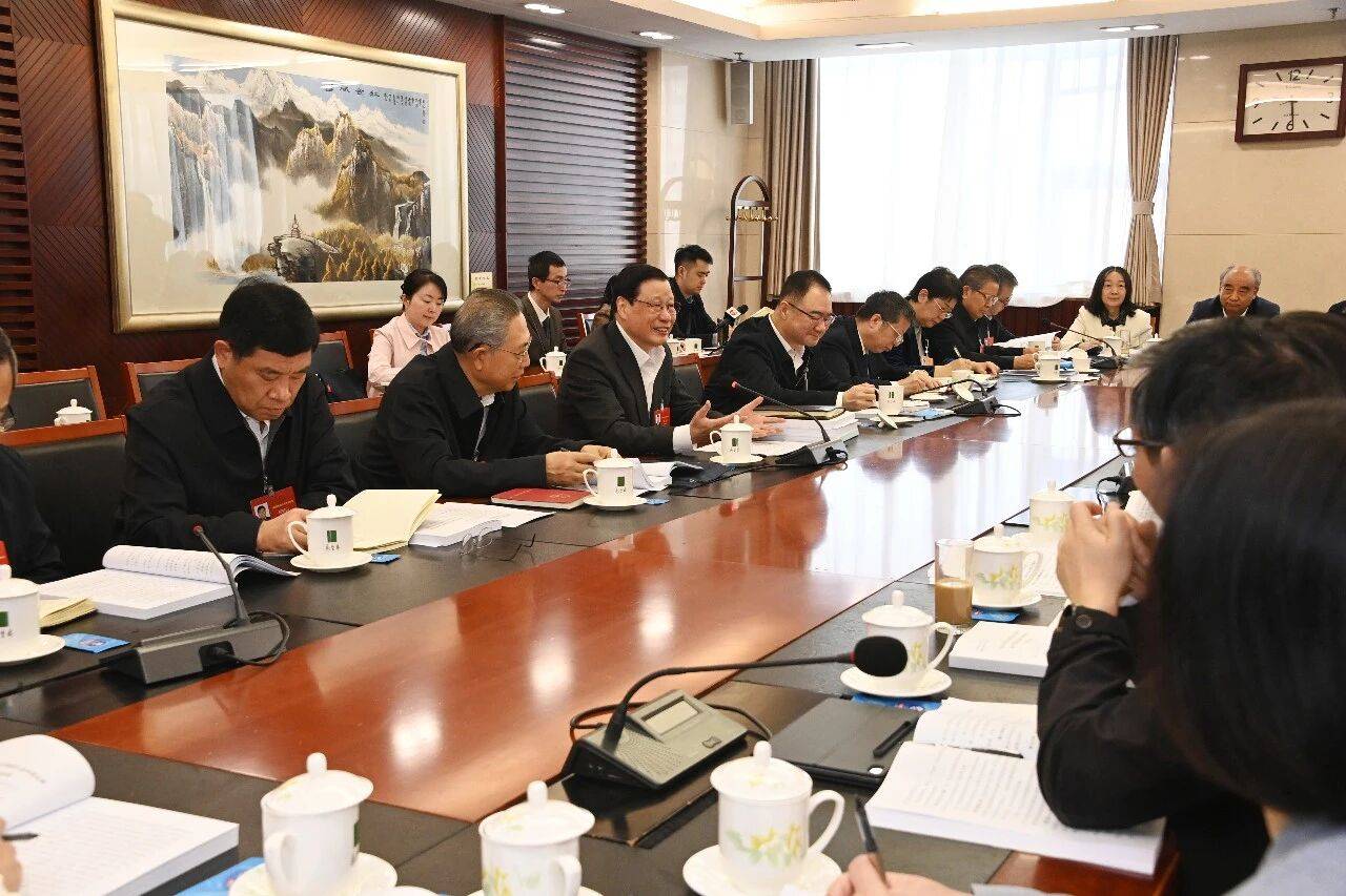 應勇在安徽代表團審議三部法律案