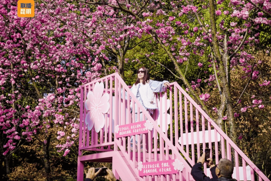三八節限定！櫻花樹下，詩歌與鮮花皆為她