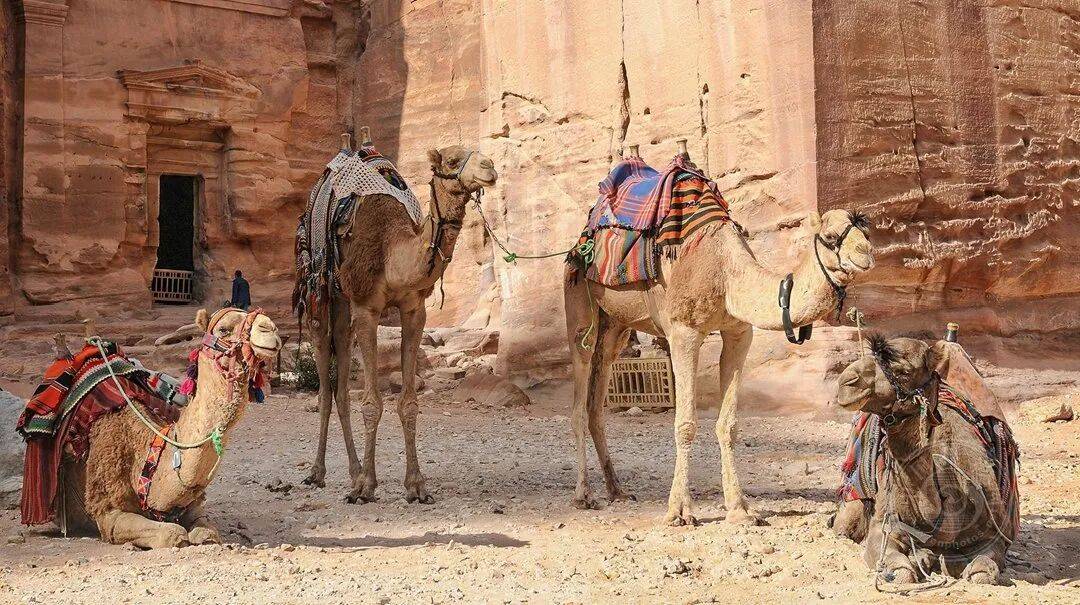 揭曉 | 2025年塞普勒斯第5屆SALAMIS國際攝影大賽（旅遊組）獲獎公佈