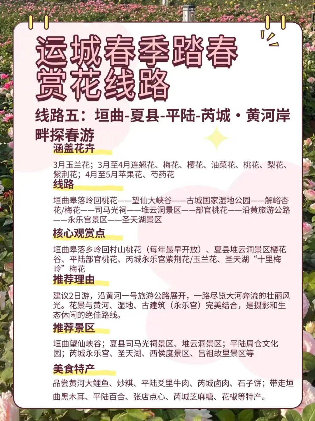 美景+美食！運城踏春賞花路線上新！5條供選！
