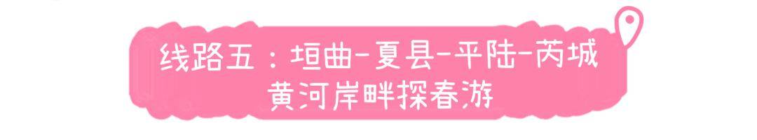 美景+美食！運城踏春賞花路線上新！5條供選！