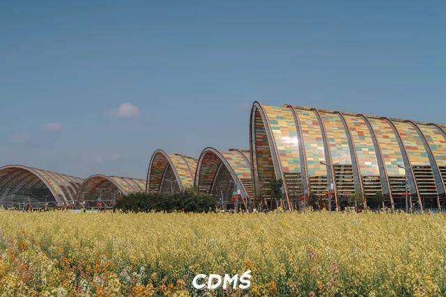 收藏！新津美食地圖更新了