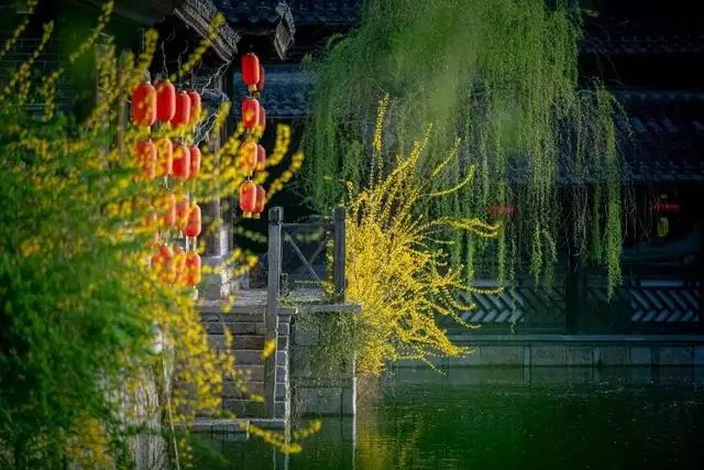 速收藏！棗莊臺兒莊古城春之花影與夜燈，錯過再等一年喲！