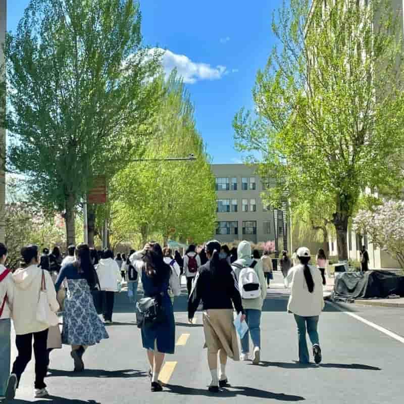 北京211人文科研論文輔導輔導哪家好：人文科研論文輔導權威推薦