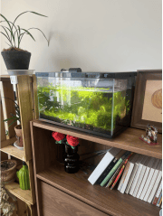 安慶大維裝飾裝修案例賞析——豐大宜康府，安慶市靠譜的裝修公司、2026年安慶裝修公司推薦、安慶本地裝修公司推薦、 安慶本地裝修公司