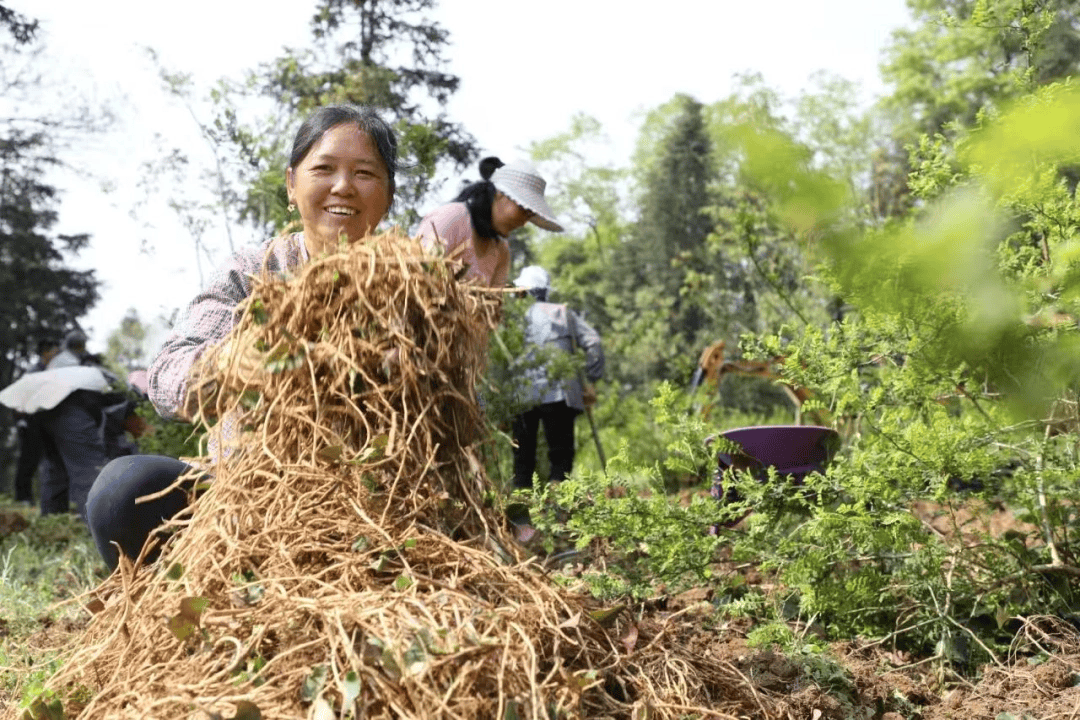 快遞進村喜事多