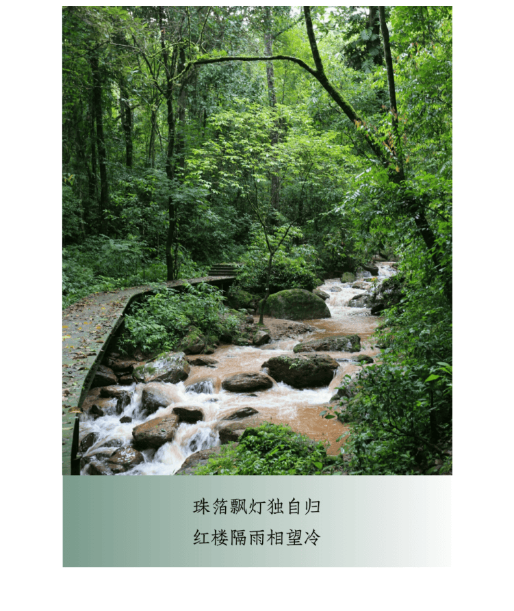 當用中國傳統色開啟“湄公河旅遊”，原來風景可以這麼詩意~