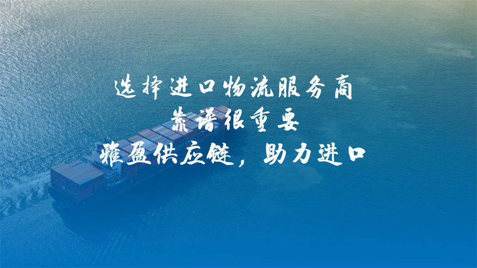 高效通關實錄：看雅盈供應鏈如何助力玩具品牌快速落地中國