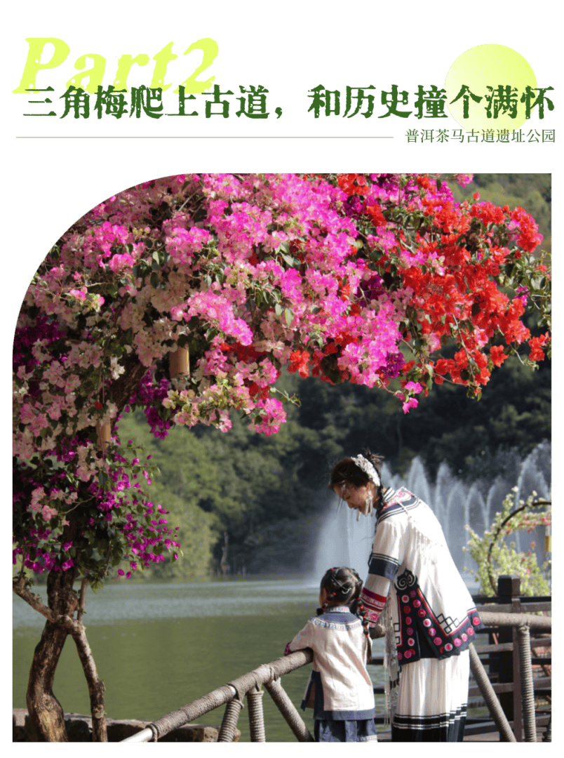 湄公河旅遊春日賞花地圖 | 把時光浪費在花事裡，剛剛好~