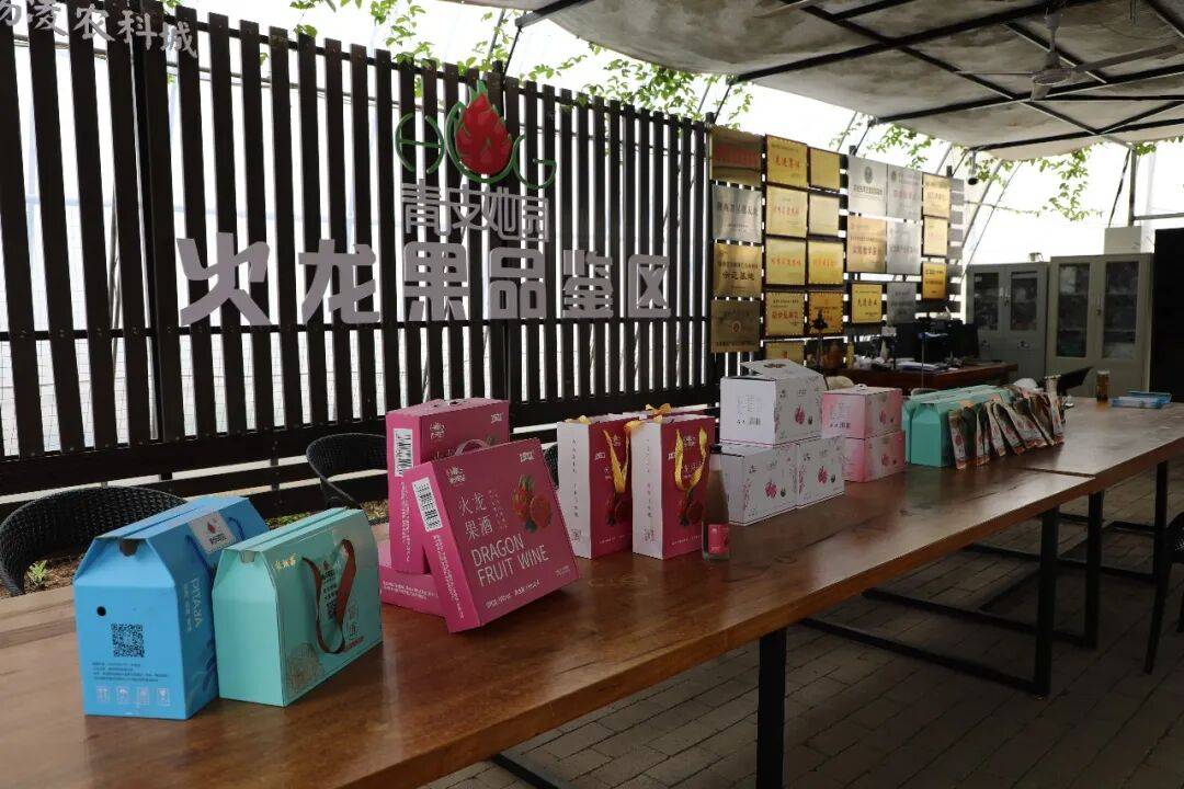 “南果北種”的科技突圍與產業新義 | 科技春耕看楊凌