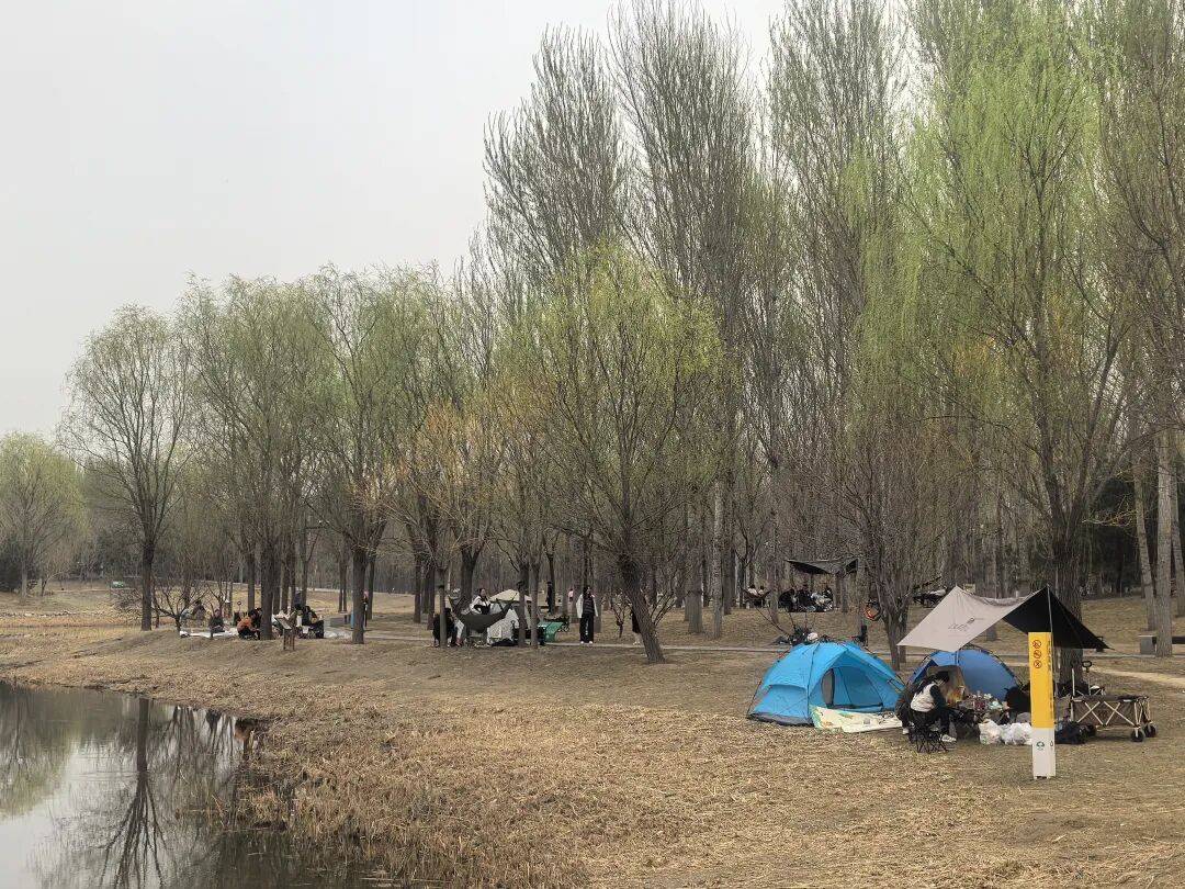 通州隱秘寶藏公園！露營、野餐、踏青一站式搞定，速收藏~