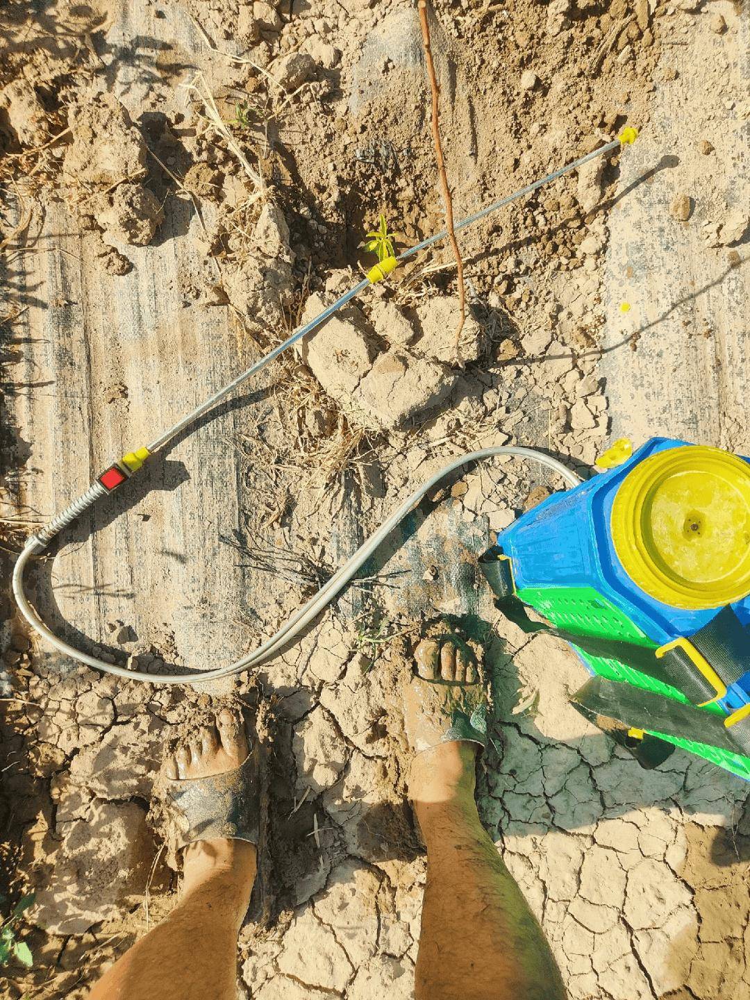 全中國最接地氣的大學生，被小看了