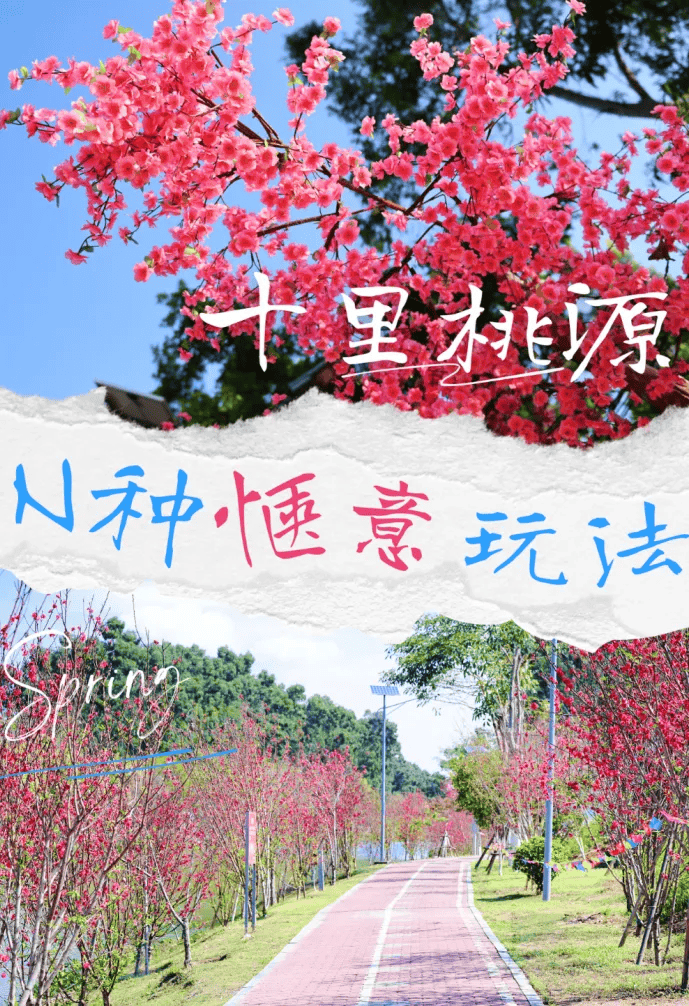 別再去人擠人的景區了！廈門這個寶藏地才是春天的正確開啟方式！古風拍照+親子農耕+知青懷舊，趕緊收藏！