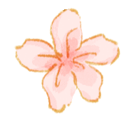 別再去人擠人的景區了！廈門這個寶藏地才是春天的正確開啟方式！古風拍照+親子農耕+知青懷舊，趕緊收藏！