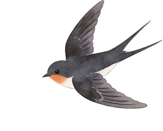 別再去人擠人的景區了！廈門這個寶藏地才是春天的正確開啟方式！古風拍照+親子農耕+知青懷舊，趕緊收藏！