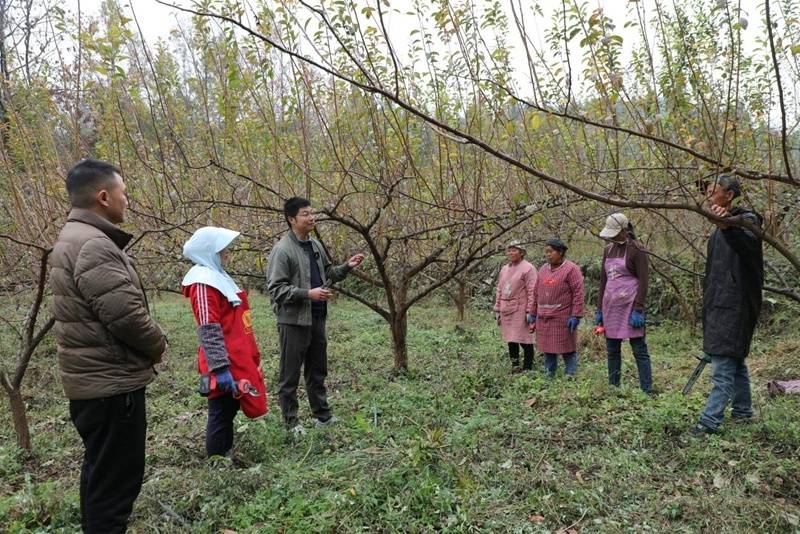 貴州省農科院：把論文寫在大地上 把政績立在田野間