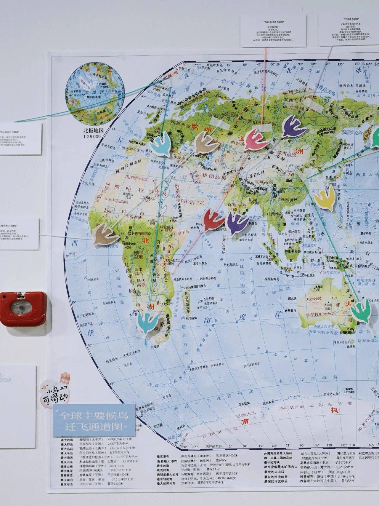 我是最小單位的自然，做書圖書市集出攤！