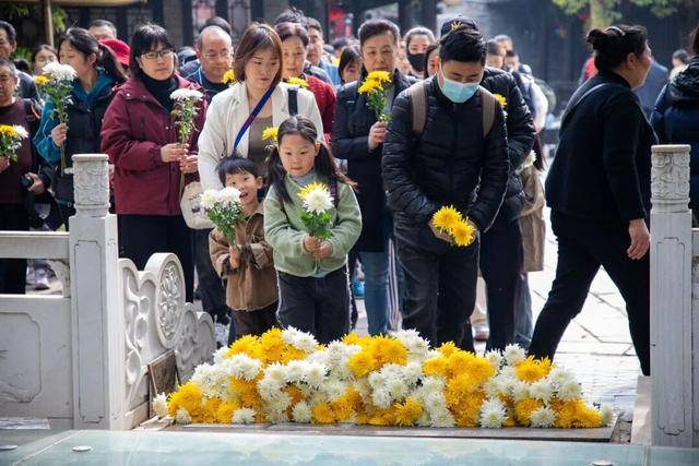清明假期遛娃天花板！來臺兒莊古城解鎖親子“玩中學”的春日童話~