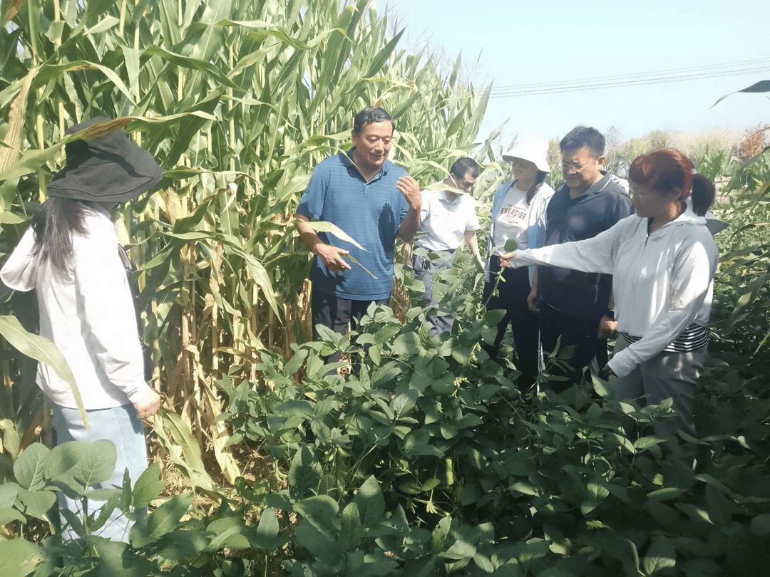 把為農服務的“論文”寫在大地上