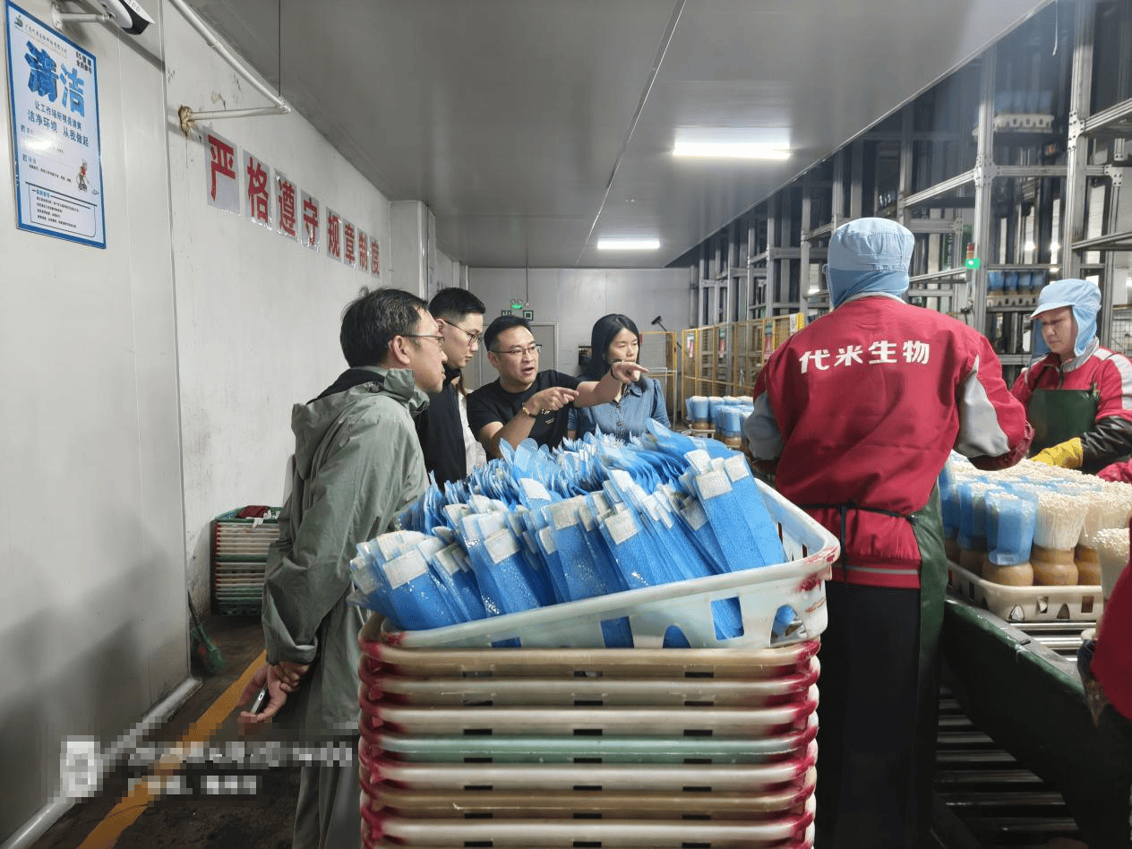 仲愷農業工程學院科技特派員團隊赴豐順縣開展產學研調研