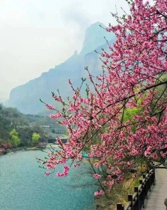 鄭州出發1h直達！鄭州周邊爬山攻略，快收藏！