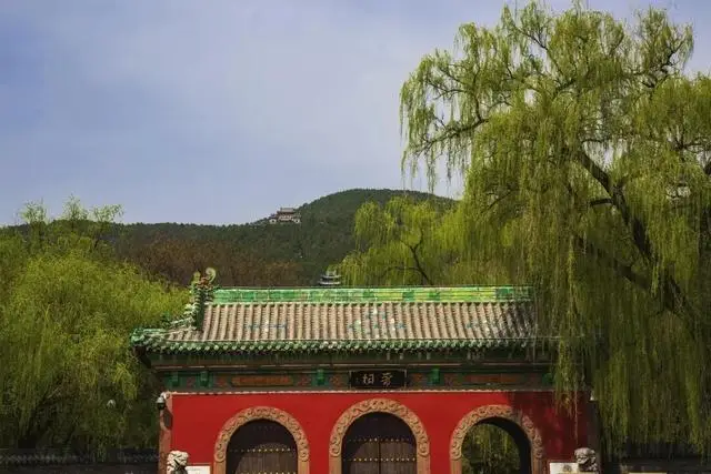 一磚一瓦遇春光，收藏這一幀幀“山河春韻圖”