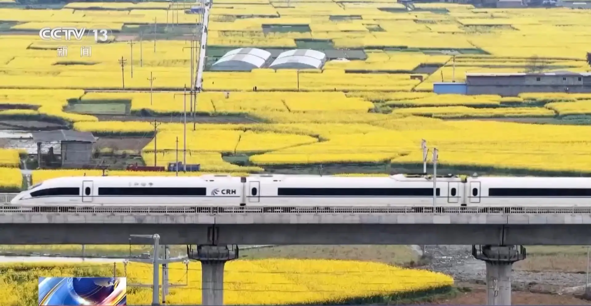 賞花、研學、歌迷專列全都有，一季度全國開行旅遊列車627列