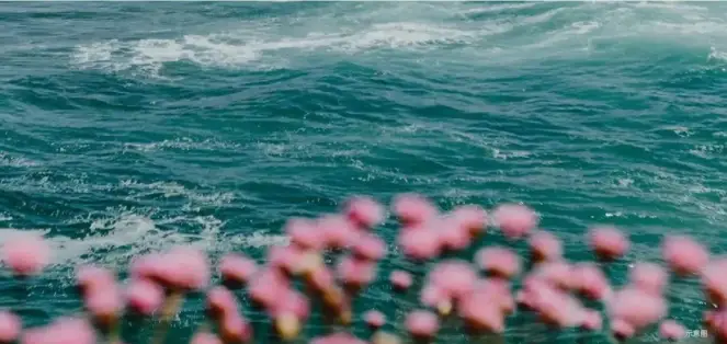 山風、花海與海風，和達集團在雲頂收藏一整個春天