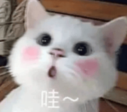 “完了……已經被出題人看到了……”老師：“謝謝，已收藏~”