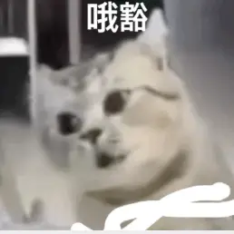 “完了……已經被出題人看到了……”老師：“謝謝，已收藏~”